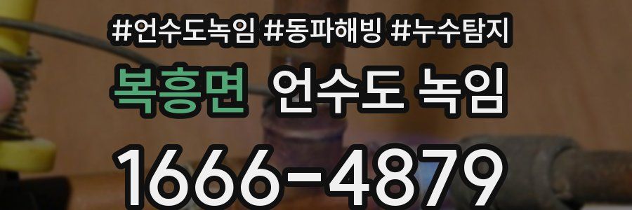 복흥면 언수도 녹임