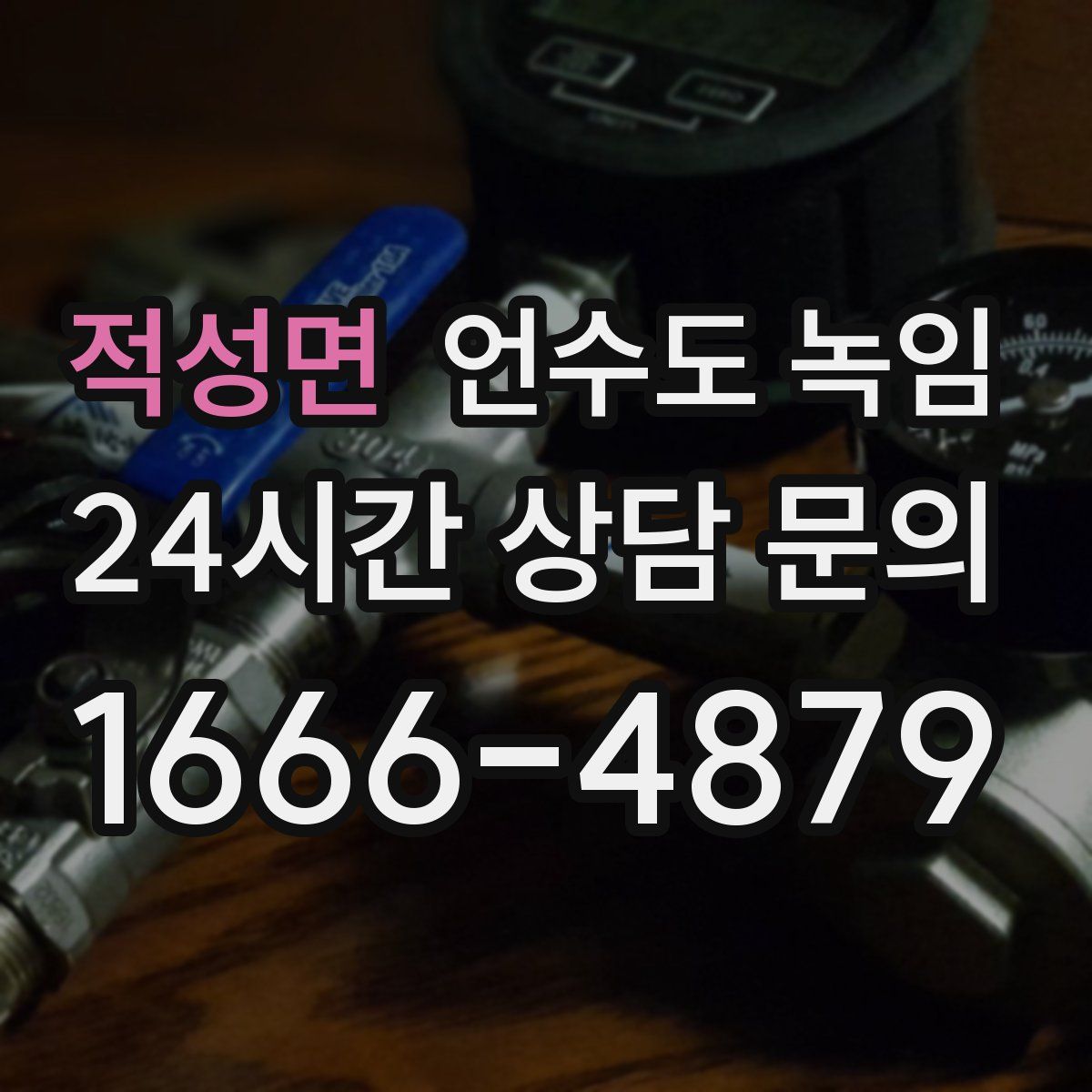 적성면 언수도 녹임