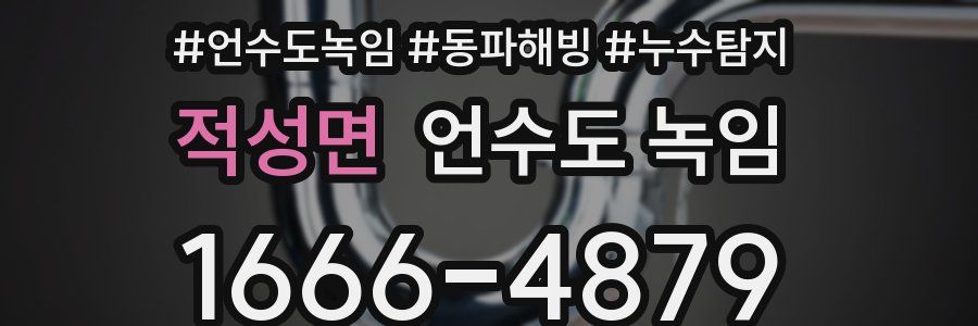 적성면 언수도 녹임