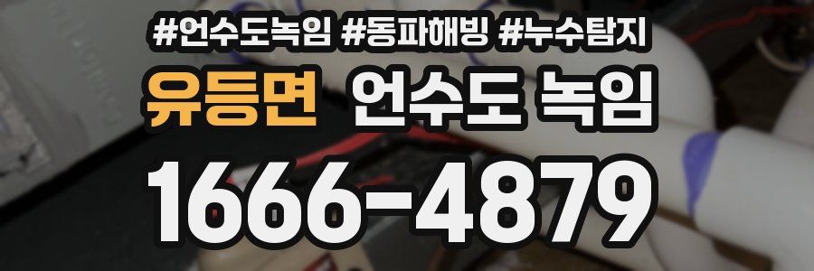 유등면 언수도 녹임