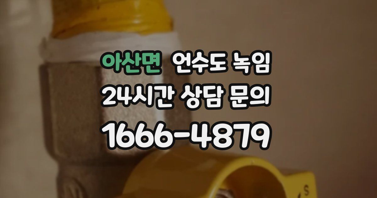 아산면 언수도 녹임