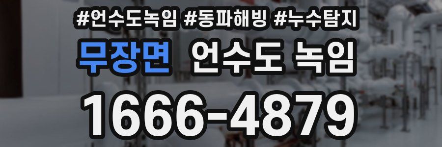 무장면 언수도 녹임