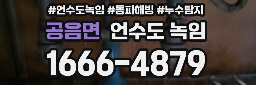 공음면 언수도 녹임