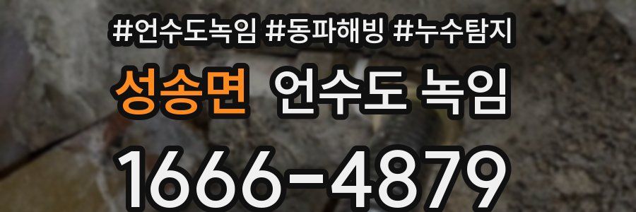 성송면 언수도 녹임