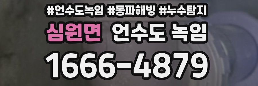 심원면 언수도 녹임