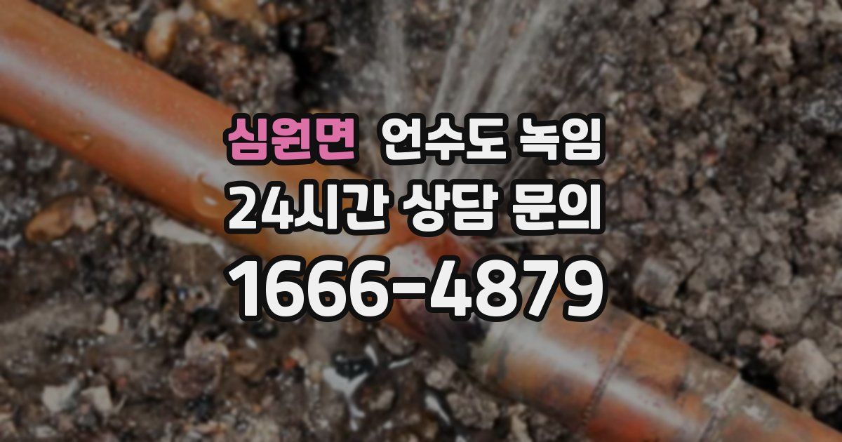 심원면 언수도 녹임