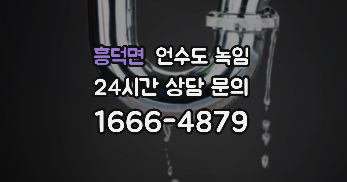흥덕면 언수도 녹임