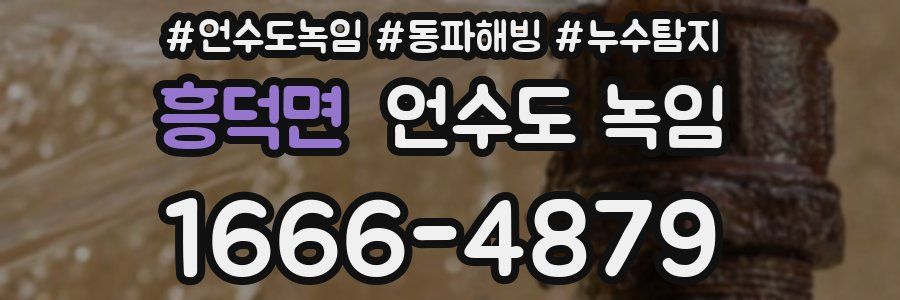 흥덕면 언수도 녹임