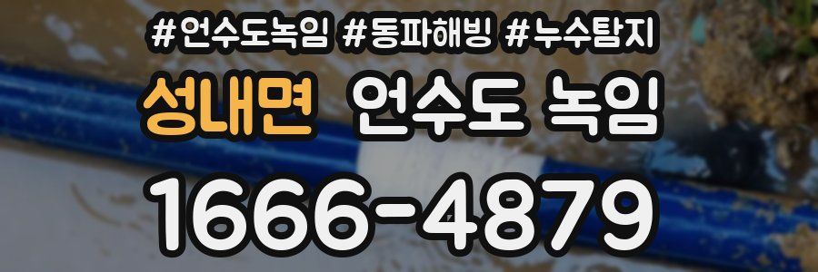 성내면 언수도 녹임