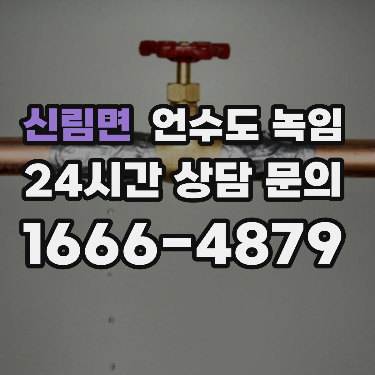 신림면 언수도 녹임