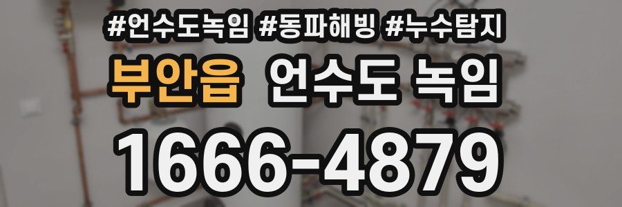 부안읍 언수도 녹임