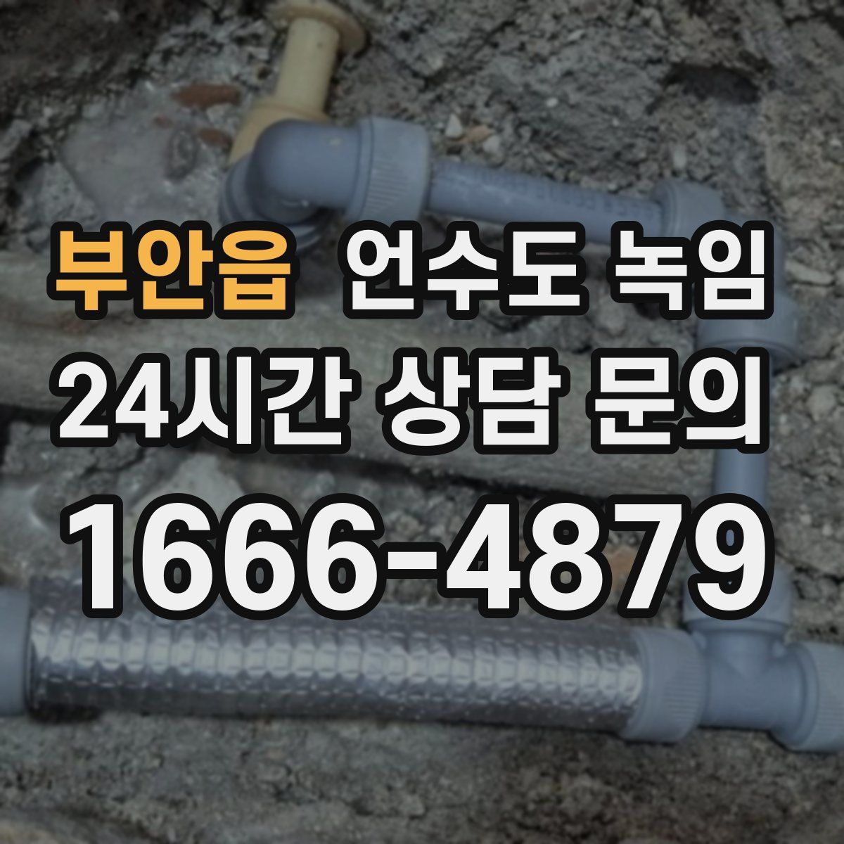 부안읍 언수도 녹임