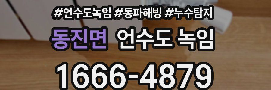 동진면 언수도 녹임