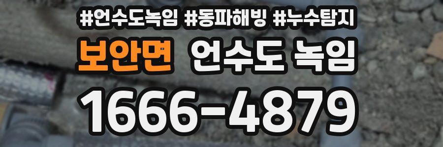 보안면 언수도 녹임