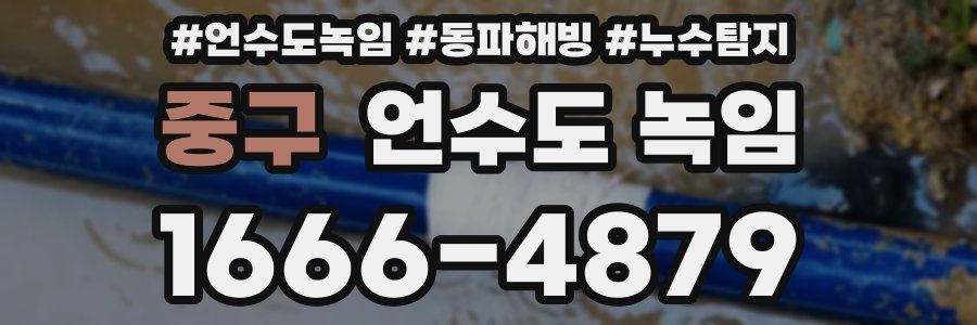 중구 언수도 녹임