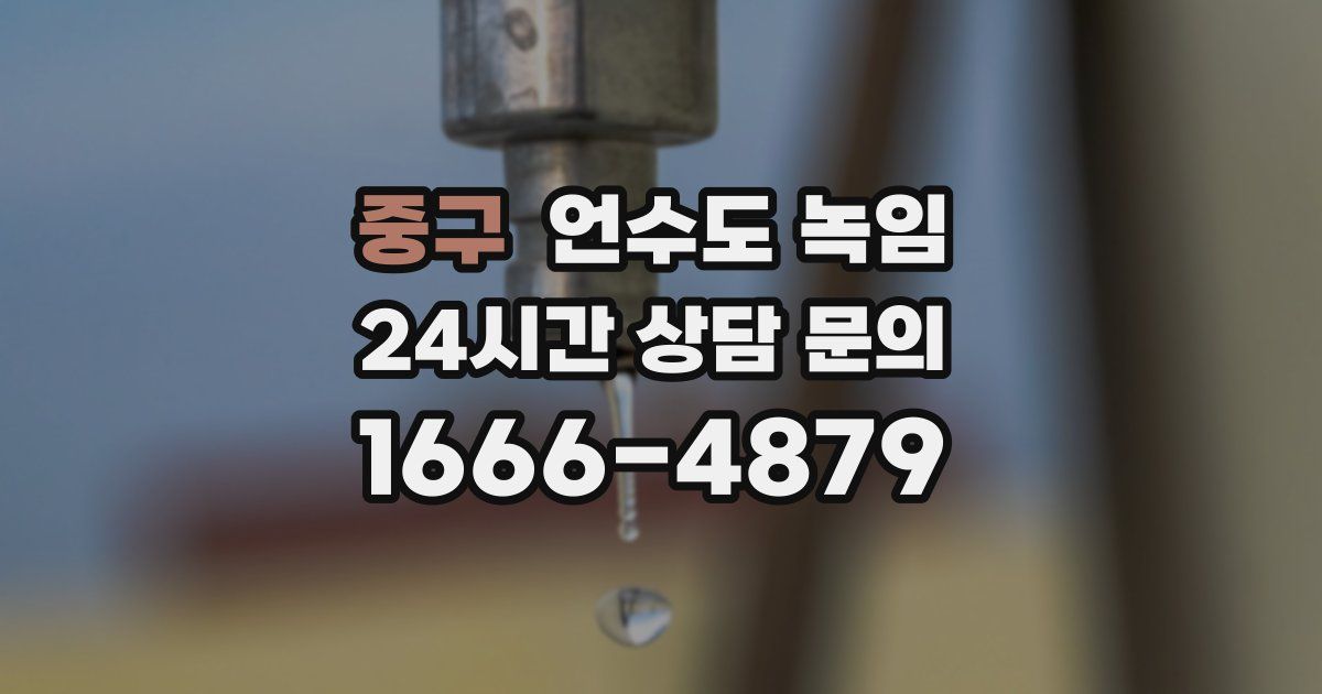 중구 언수도 녹임