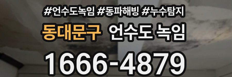 동대문구 언수도 녹임
