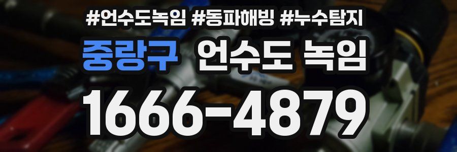 중랑구 언수도 녹임