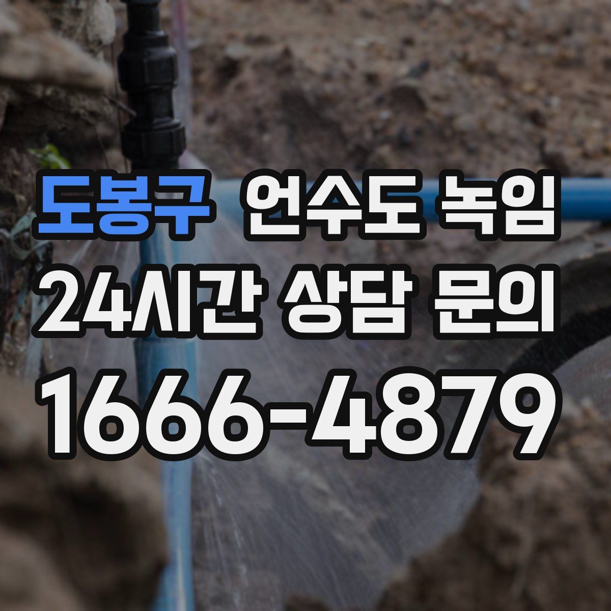 도봉구 언수도 녹임