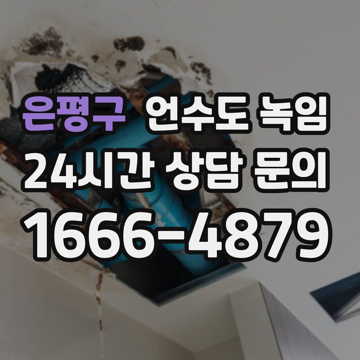 은평구 언수도 녹임