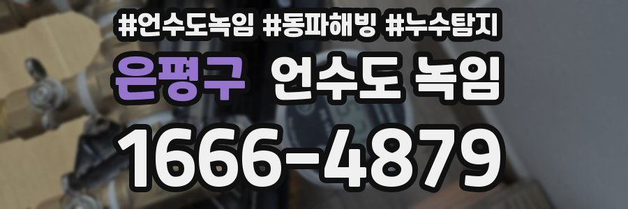 은평구 언수도 녹임