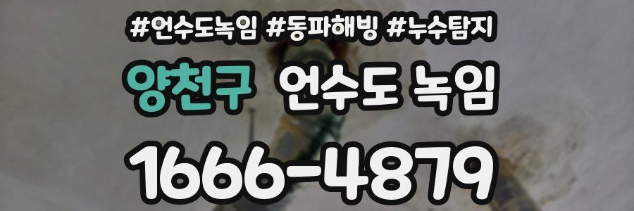 양천구 언수도 녹임