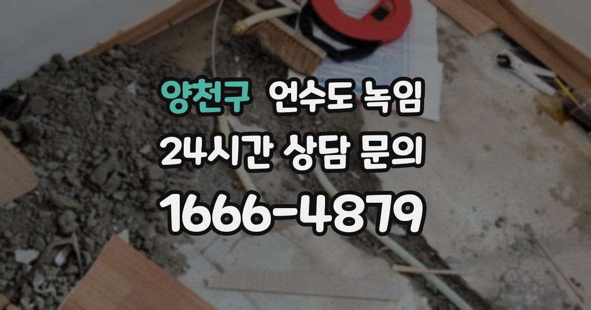 양천구 언수도 녹임