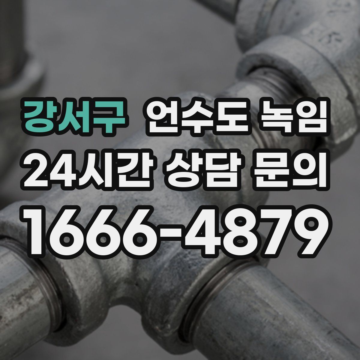 강서구 언수도 녹임