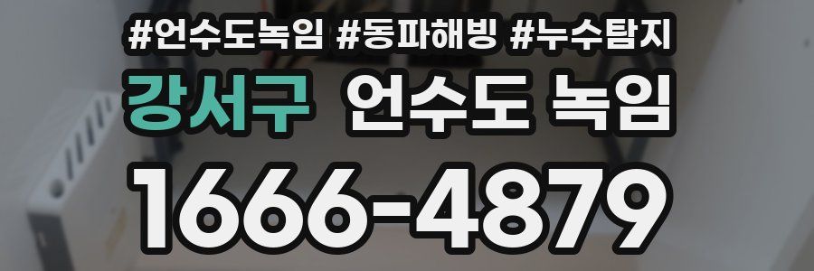 강서구 언수도 녹임