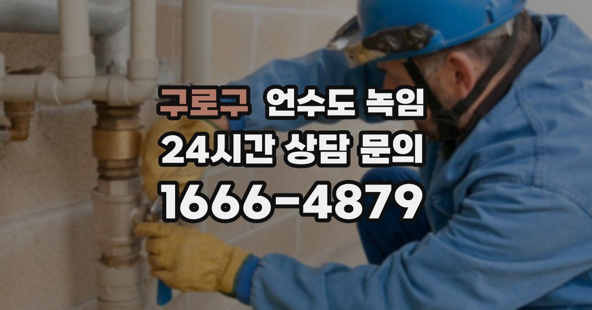 구로구 언수도 녹임