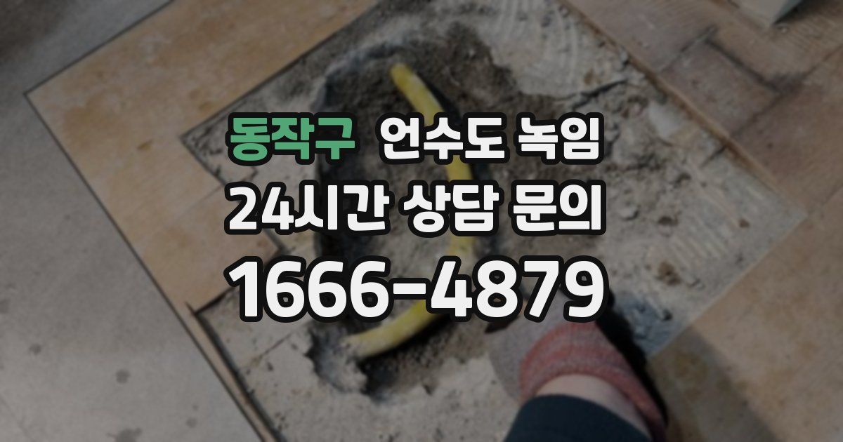 동작구 언수도 녹임