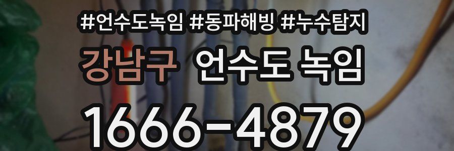 강남구 언수도 녹임