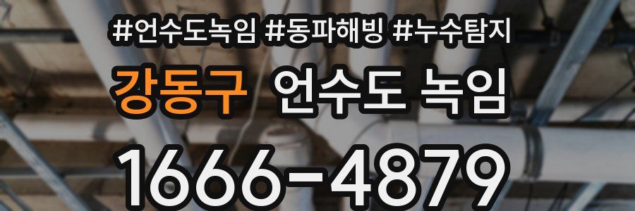 강동구 언수도 녹임