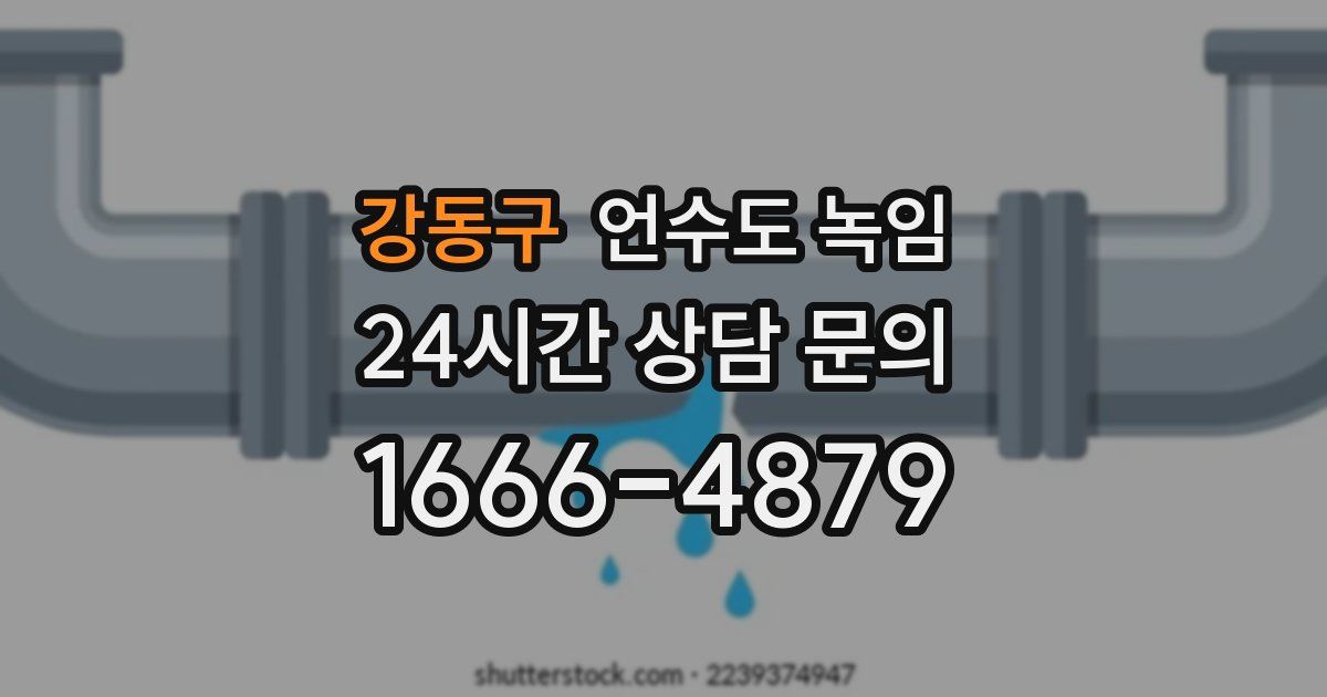 강동구 언수도 녹임