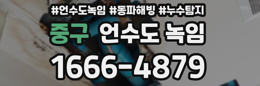 중구 언수도 녹임