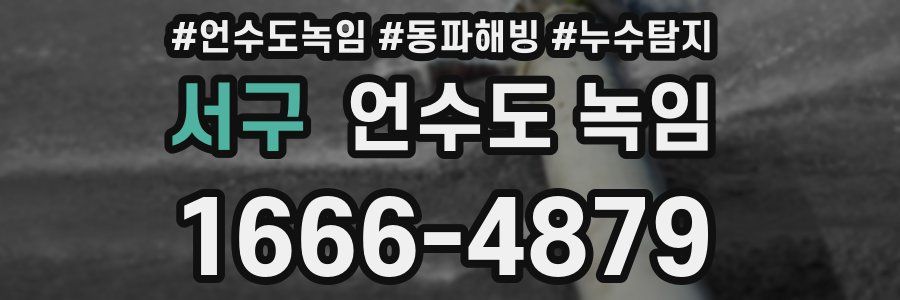 서구 언수도 녹임