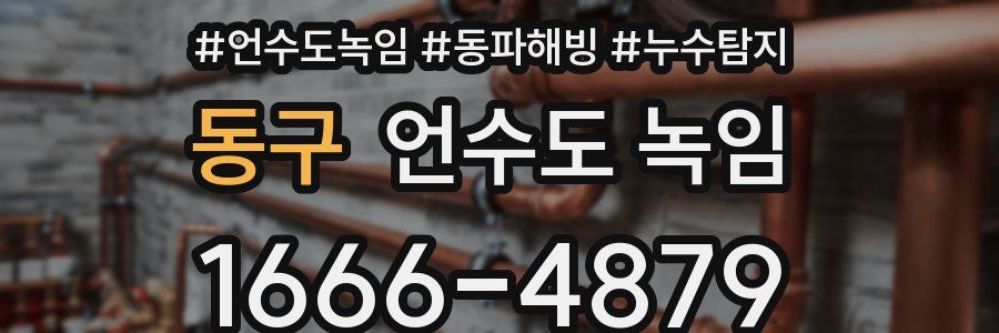 동구 언수도 녹임