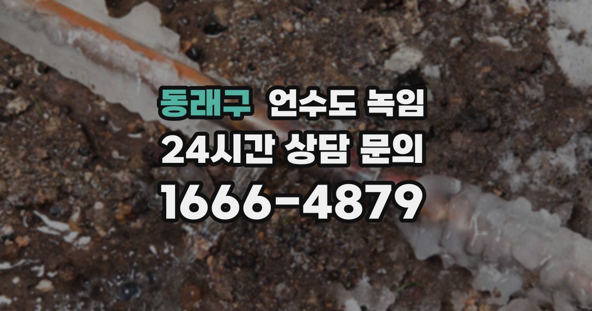 동래구 언수도 녹임