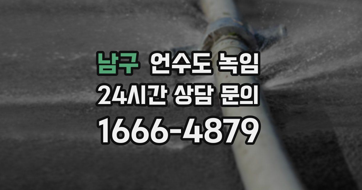 남구 언수도 녹임