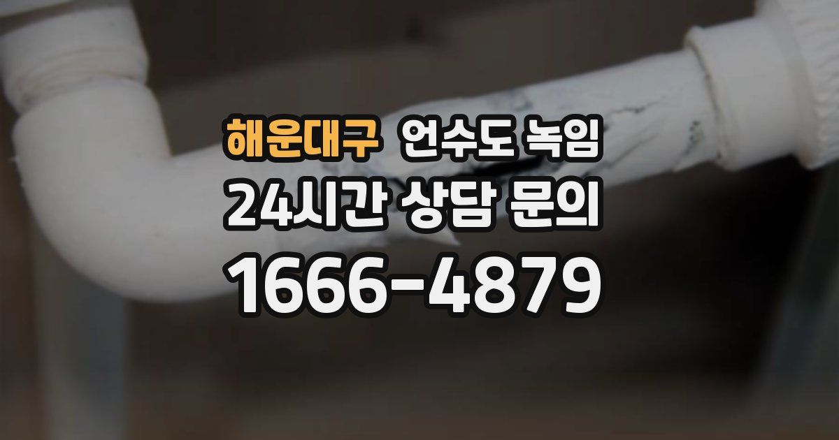 해운대구 언수도 녹임