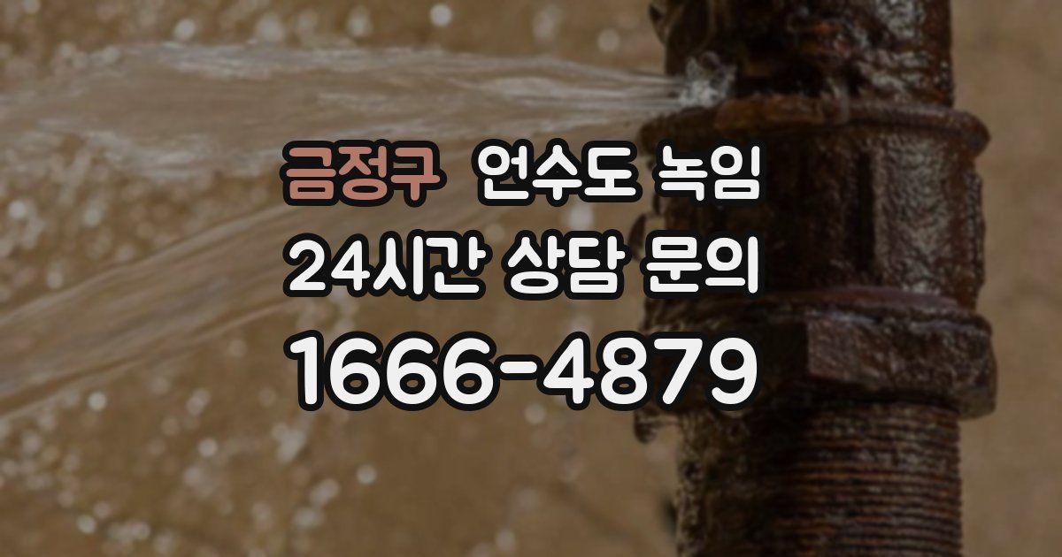 금정구 언수도 녹임