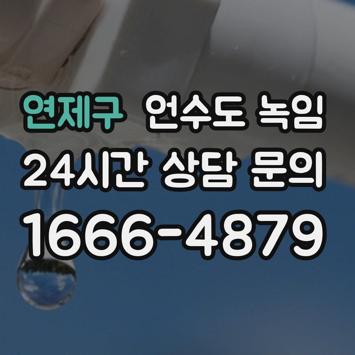 연제구 언수도 녹임