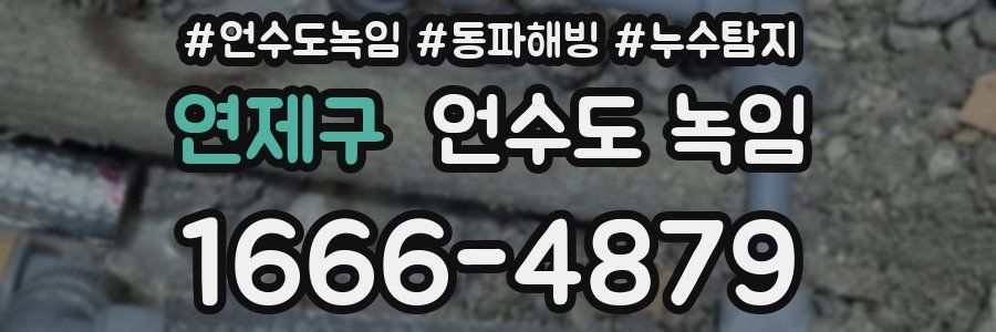 연제구 언수도 녹임