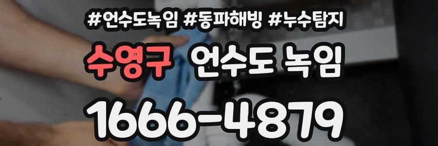 수영구 언수도 녹임