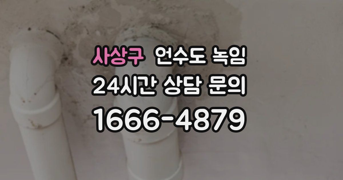 사상구 언수도 녹임