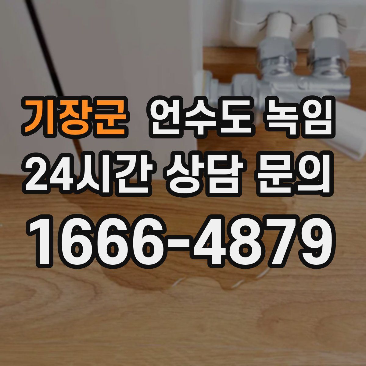 기장군 언수도 녹임