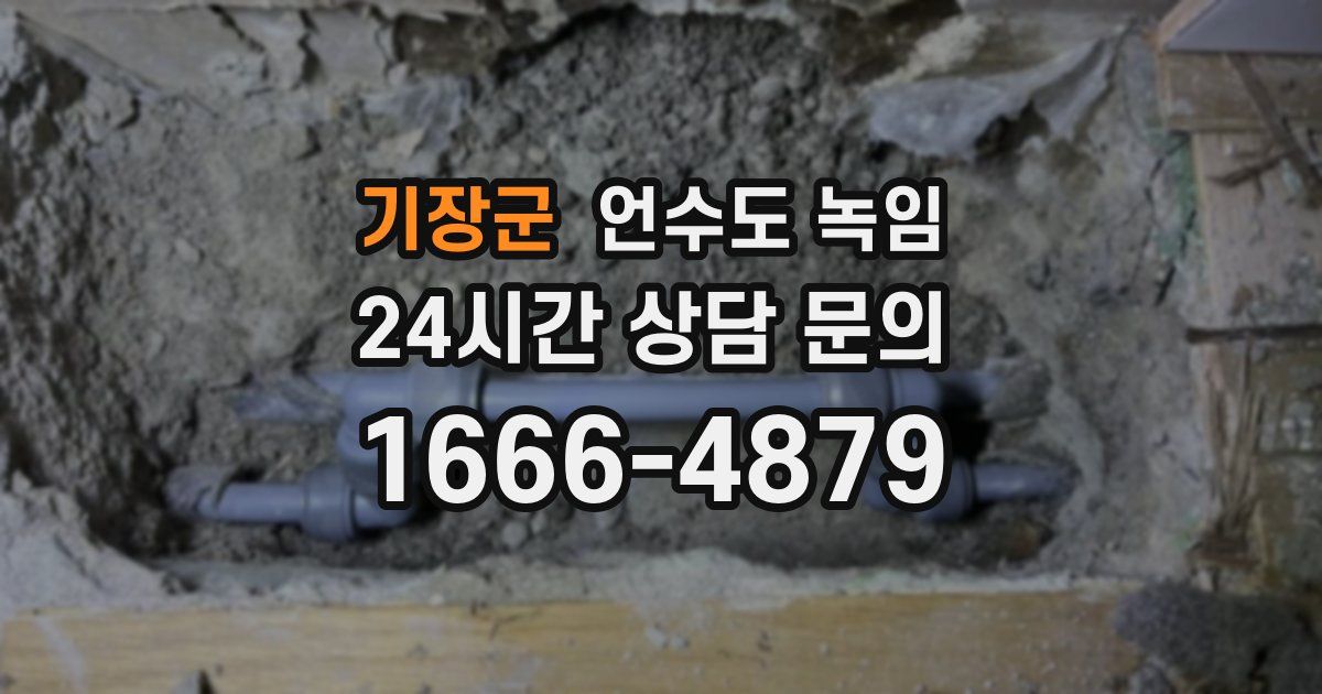 기장군 언수도 녹임