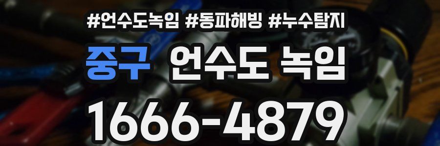 중구 언수도 녹임