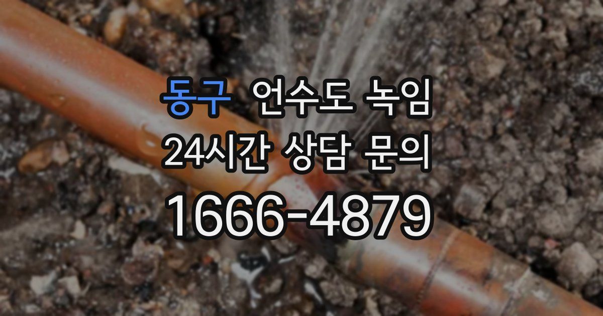 동구 언수도 녹임