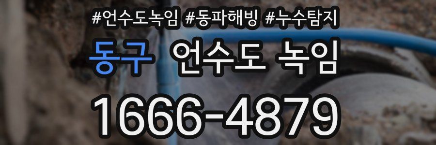 동구 언수도 녹임